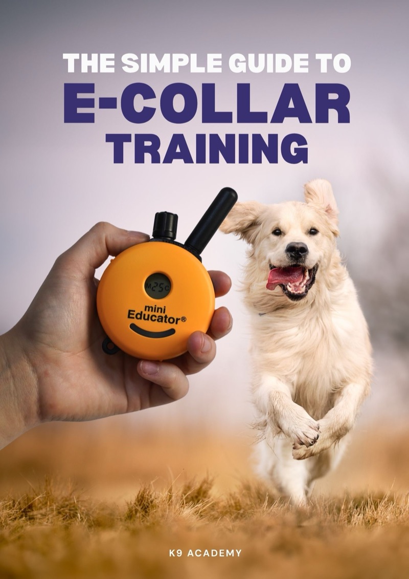The Simple Guide to E-Collar Training